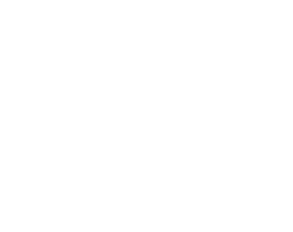 Logo NEO